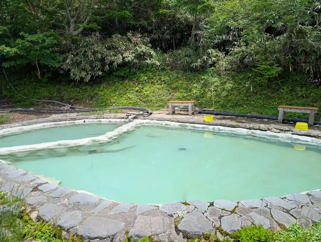 A milky open-air hot spring surrounded by forest