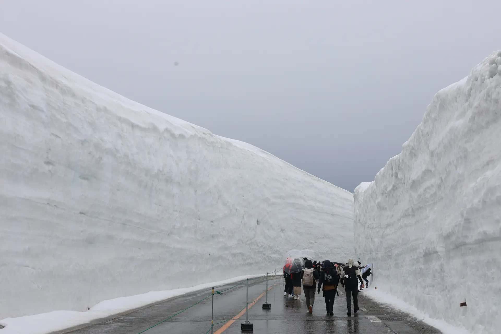 【2025年最新】立山黒部アルペンルート完全攻略|料金・予約・アクセス・宿泊まで徹底解説