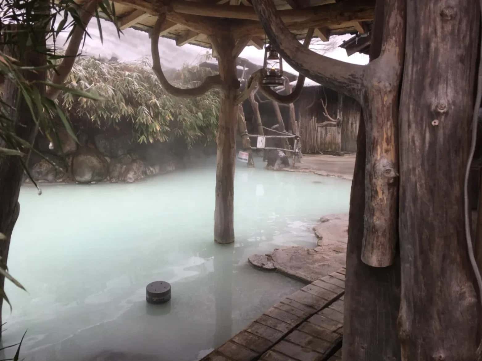 【2025年最新版】東北の秘湯10選 - 絶景と癒しの温泉旅完全ガイド