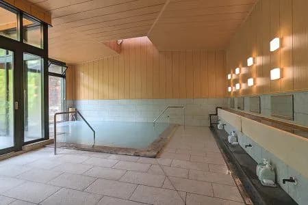 松川温泉 峡雲荘 - 3