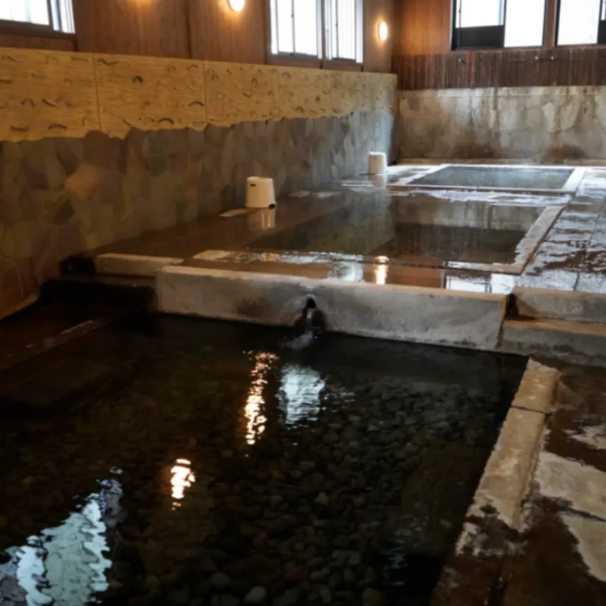 Kawazoko Hot Spring Hotaruseiso - 2