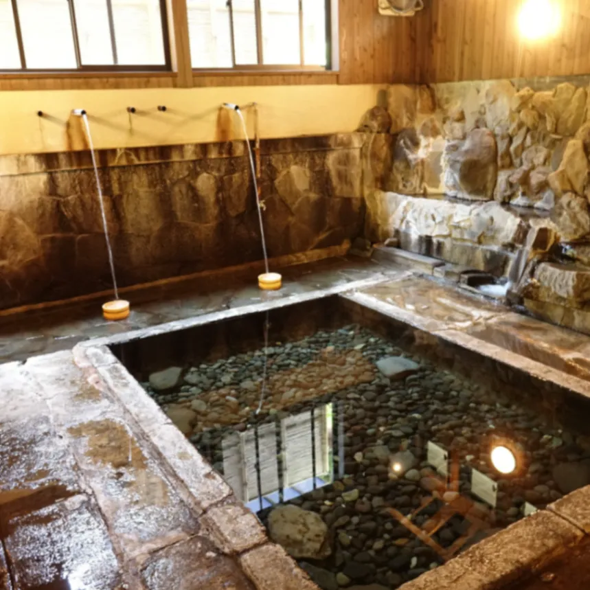 Kawazoko Hot Spring Hotaruseiso - 3