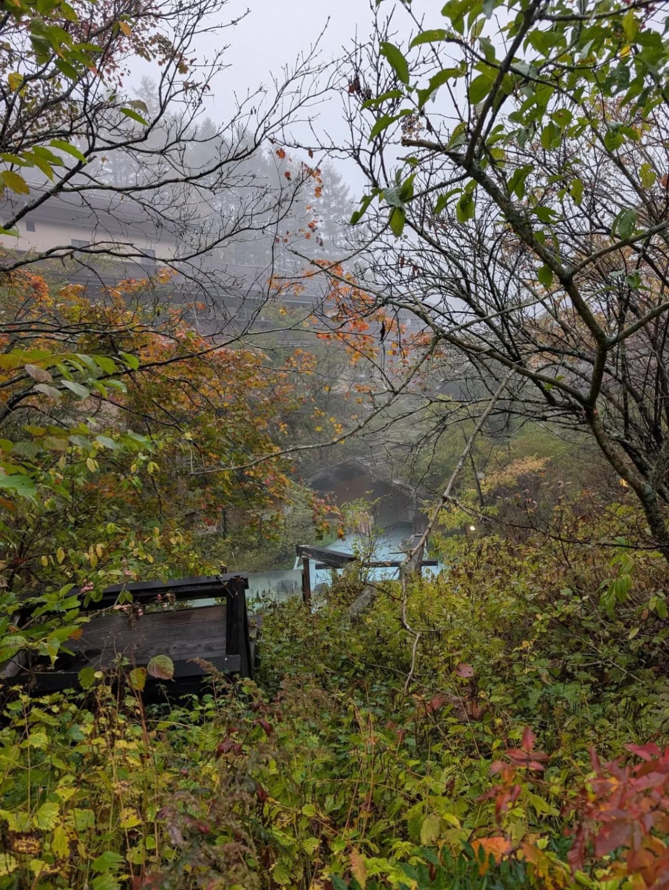 白骨温泉 泡の湯 - 2