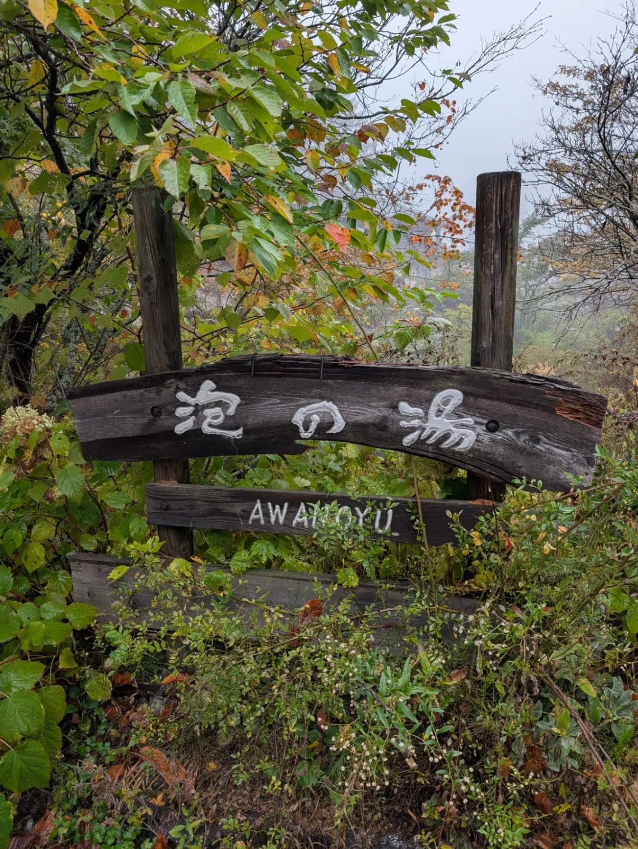 白骨温泉 泡の湯 - 3