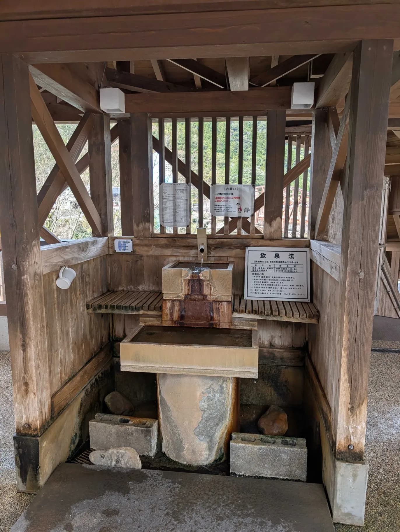 十津川温泉 庵の湯 - 3