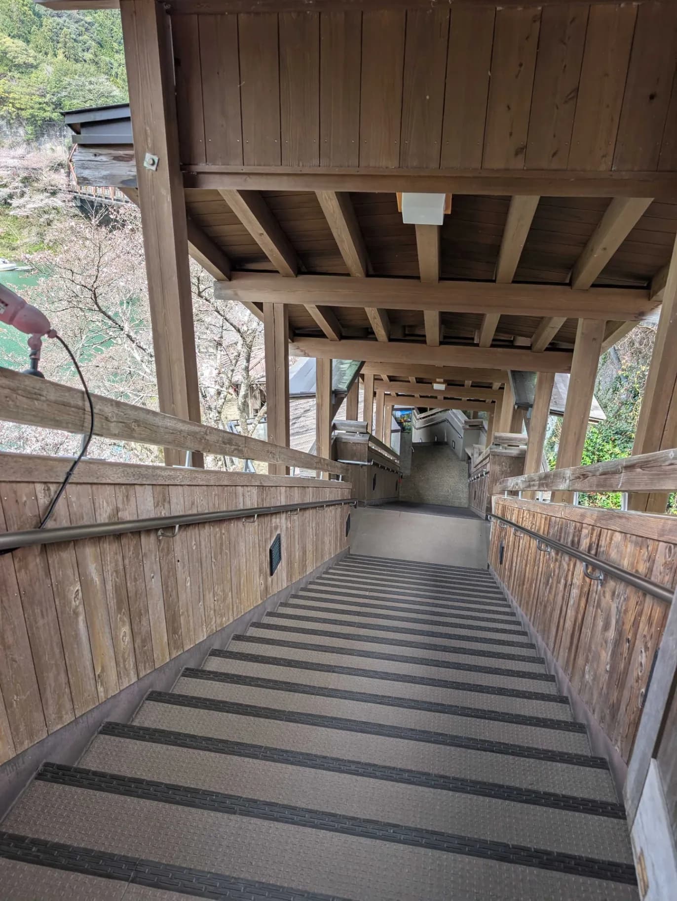 十津川温泉 庵の湯 - 4