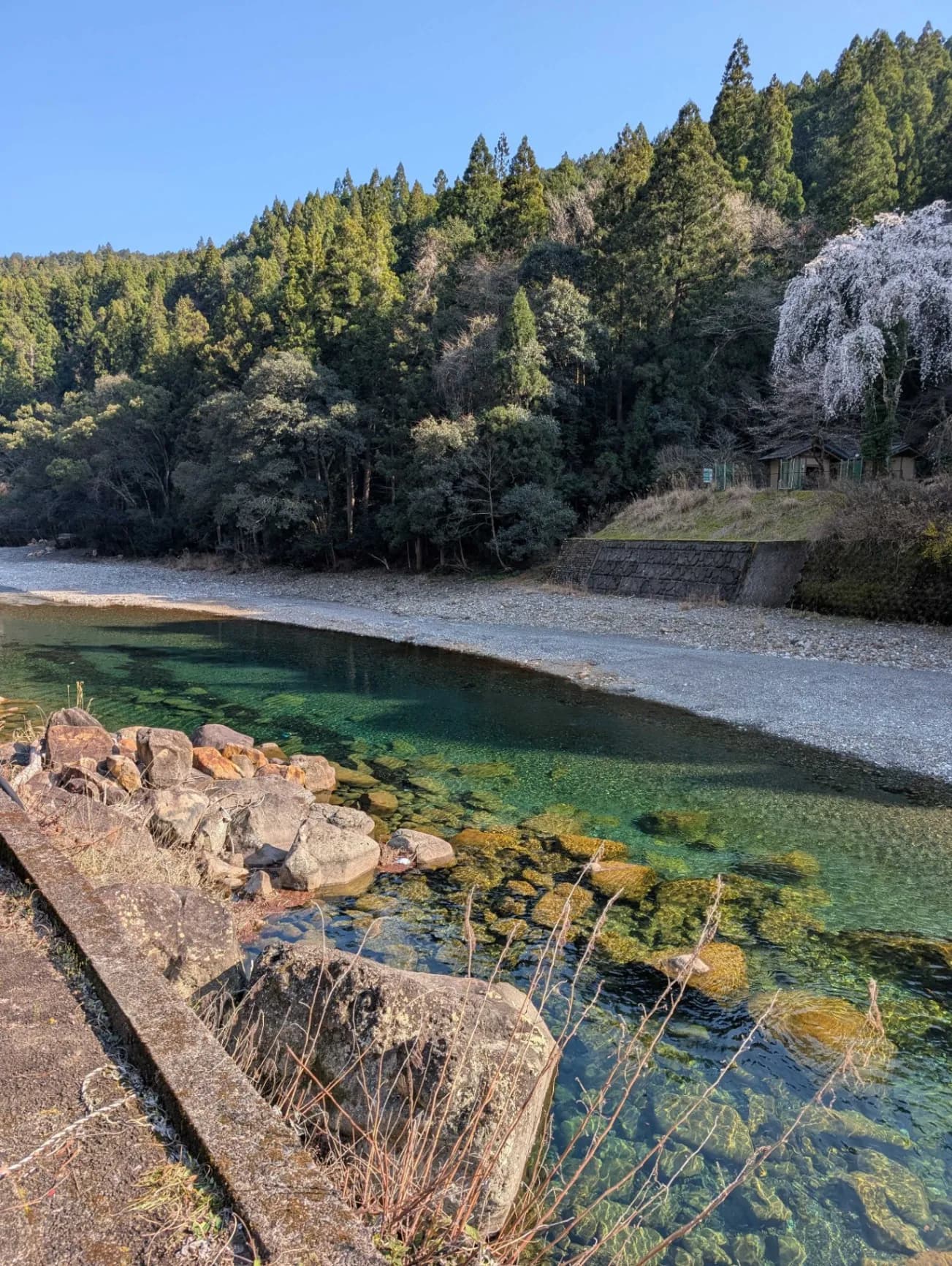 川湯温泉 仙人風呂 - 2
