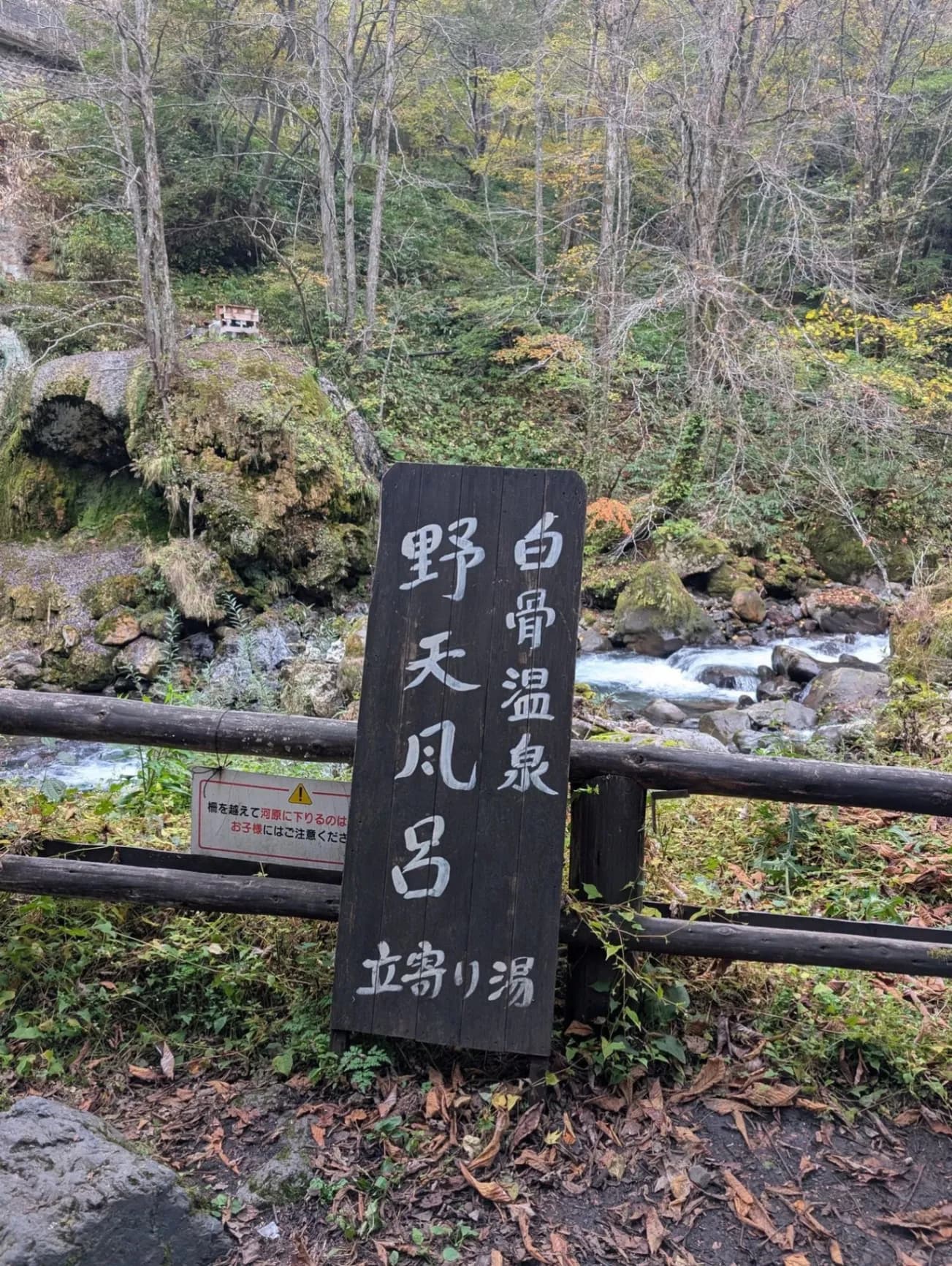 Shirahone Host Spring Public Open-air Bath - 5