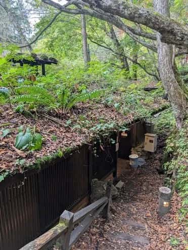 白骨温泉公共野天風呂 - 6