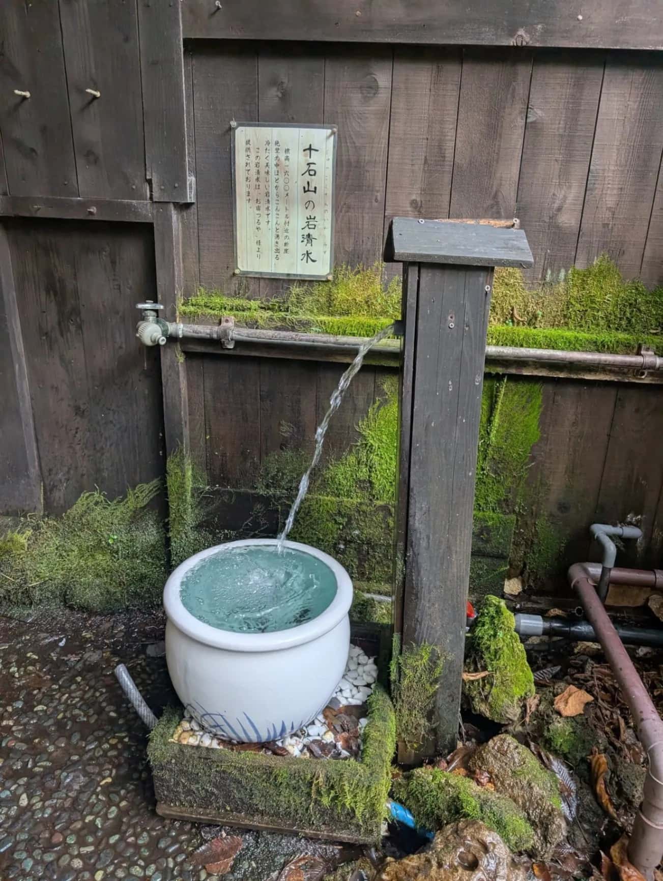 白骨温泉公共野天風呂 - 7