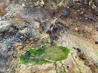 平田内温泉 熊の湯