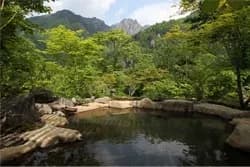 新穂高温泉 野の花山荘