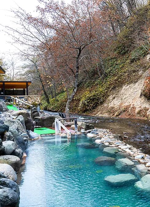 引用:養老牛温泉 湯宿だいいちHP