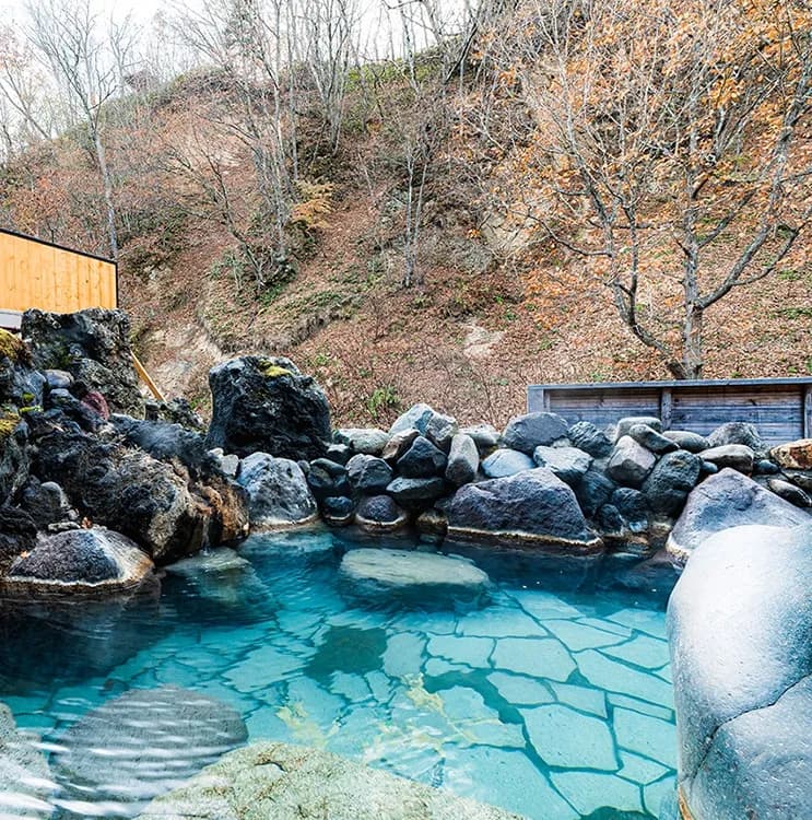 養老牛温泉 湯宿だいいち - 2