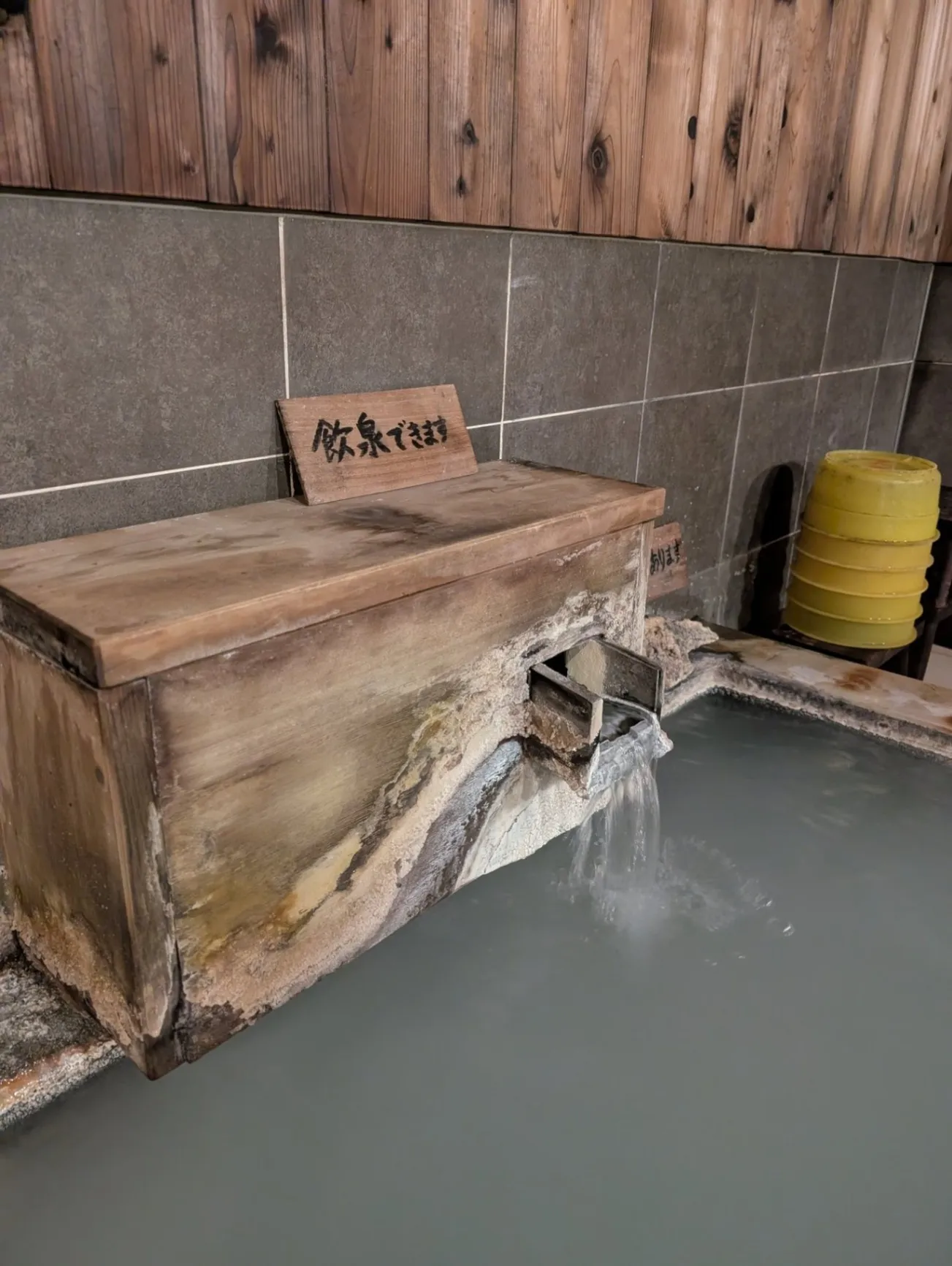 Shirahone Hot Spring Katsurano-yu Maruei Ryokan - 4