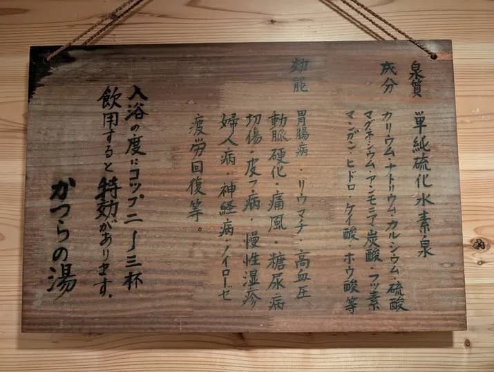 Shirahone Hot Spring Katsurano-yu Maruei Ryokan - 2